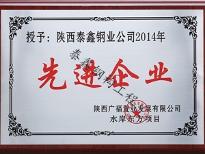 先進(jìn)企業(yè)—廣福置業(yè)水岸東方